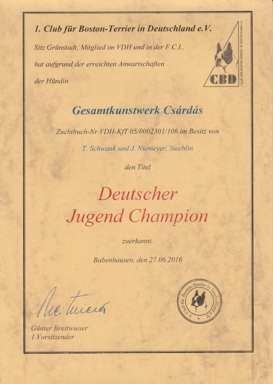 Csárdás Champions Jugend - 1